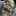 IconSmall PlagueEruptor.gif