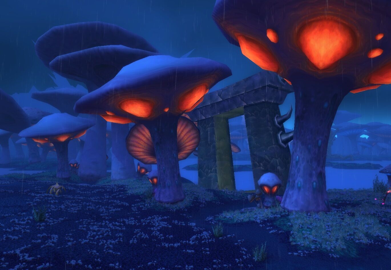 Portal Clearing.jpg