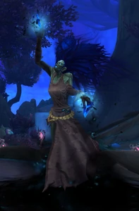 A Darkfront Summoner