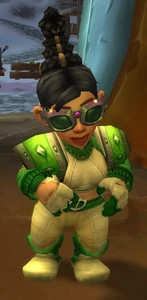 Image of S.A.F.E. Guide