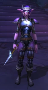 Image of Darnassian Sentinel