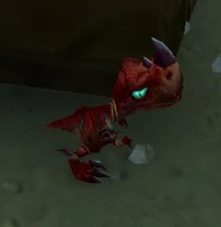 Image of Lost Bloodtalon Hatchling