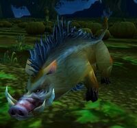 Image of Porcine Entourage