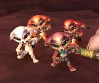Image of Vulpera Kid
