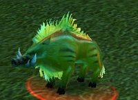 Image of Young Battleboar