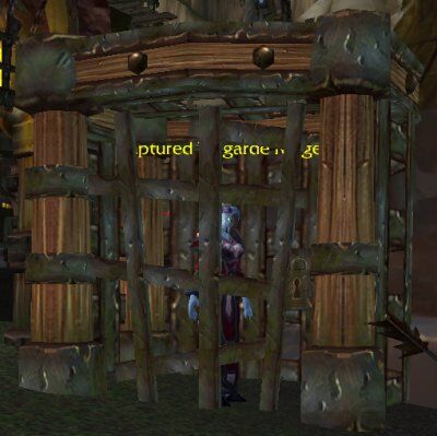 Dragonflayer Cage.jpg