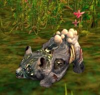 Image of Infested Bear Cub