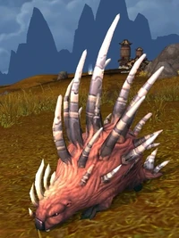 Image of Razorquill Porcupine