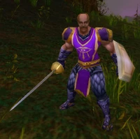 Image of Dalaran Shield Guard