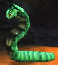 Image of Rock Borer