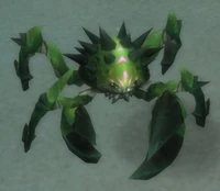 Image of Crab Hatchling