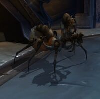 Image of Nerub'ar Champion