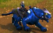 Sapphire Panther