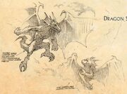 Concept art that looks similar to dracthyr from .