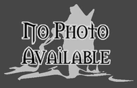 No image available