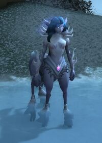 Image of Frost Nymph