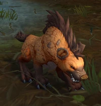 Image of Snap