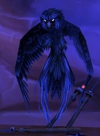 Image of Kaliri Swooper