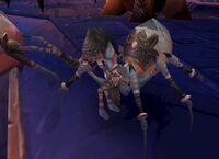 Image of Anub'ar Shadowcaster