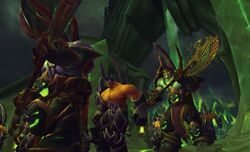 Fel lords.jpg