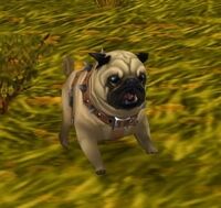 Image of Mr. Woofles
