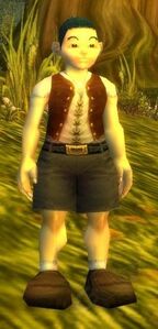 Image of Solomon