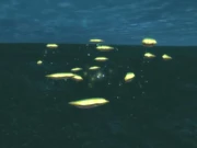 Stonescale Eel Swarm