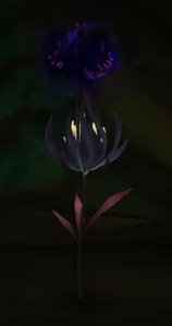 Image of Remnant of the Void