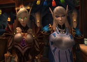 Blood elf next to a high elf2