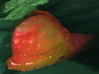 Image of Burning Extract