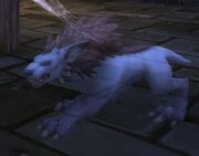 Phase Hound