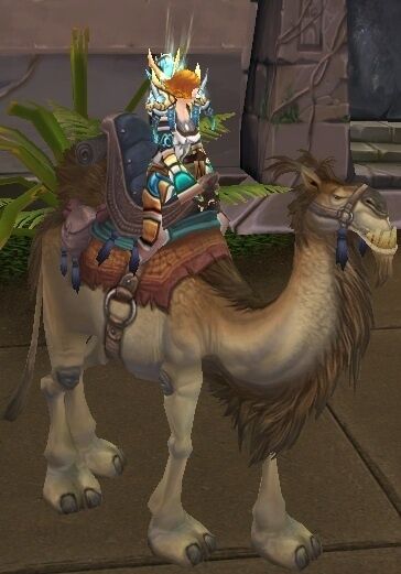 Reins Of The Tan Riding Camel Wowpedia Your Wiki Guide To The World Of Warcraft