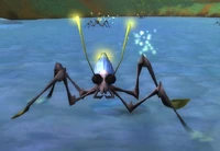 Image of Water Pincer