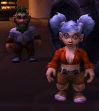 Image of Gnome Commoner