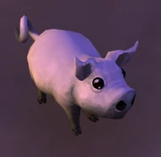 Silver Pig