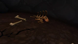 Orb 7: Orb is in the skull