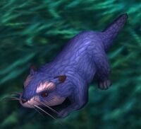 Image of Kuitan Mongoose