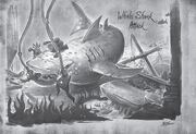 Traveler Whale Shark Attack.jpg