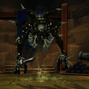 Doren transformed into a sha.