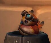 Traveller Pepe