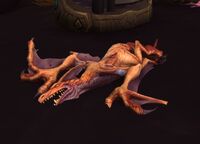 Image of Pterrordax Hatchling