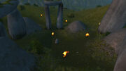 Circle of West Binding1.jpg