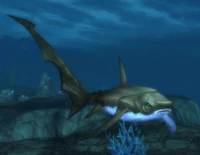 Image of Longfin Thresher