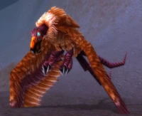 Image of Salt Flats Vulture