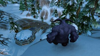 Vagash Stalking Amberstill Rams