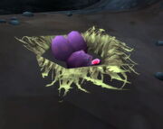 Razormaw Matriarch's Nest