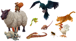 Critters.png