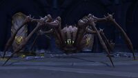 Image of Terrorachna