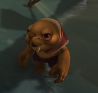 Image of Tuppo