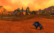 Durotar wildlife